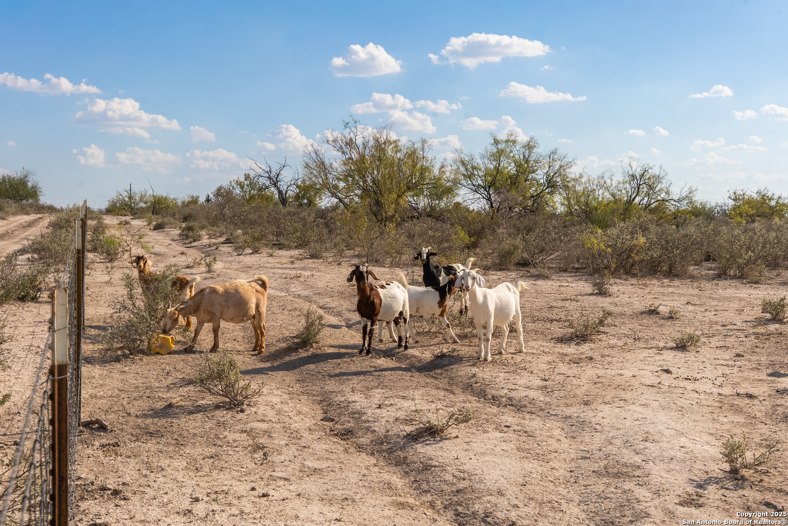 2212 Lausen Del Rio TX 78840