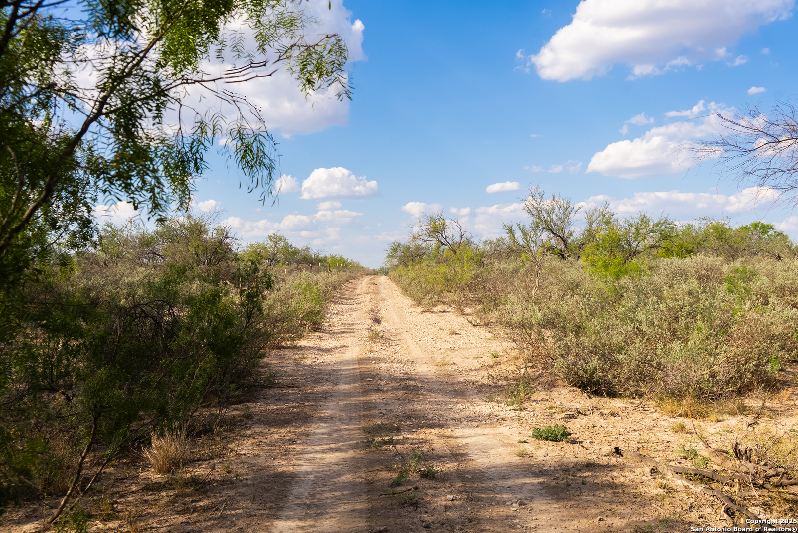 2212 Lausen Del Rio TX 78840