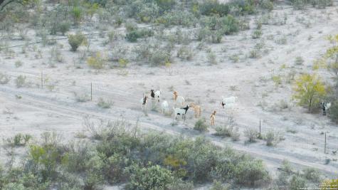 2212 Lausen Del Rio TX 78840