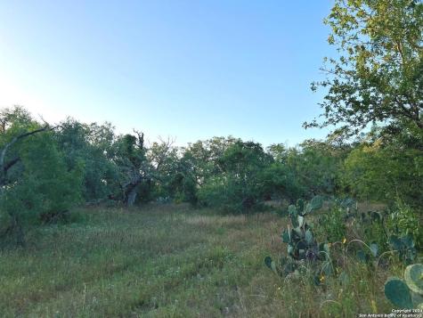 0 Bruce Road Pleasanton TX 78064