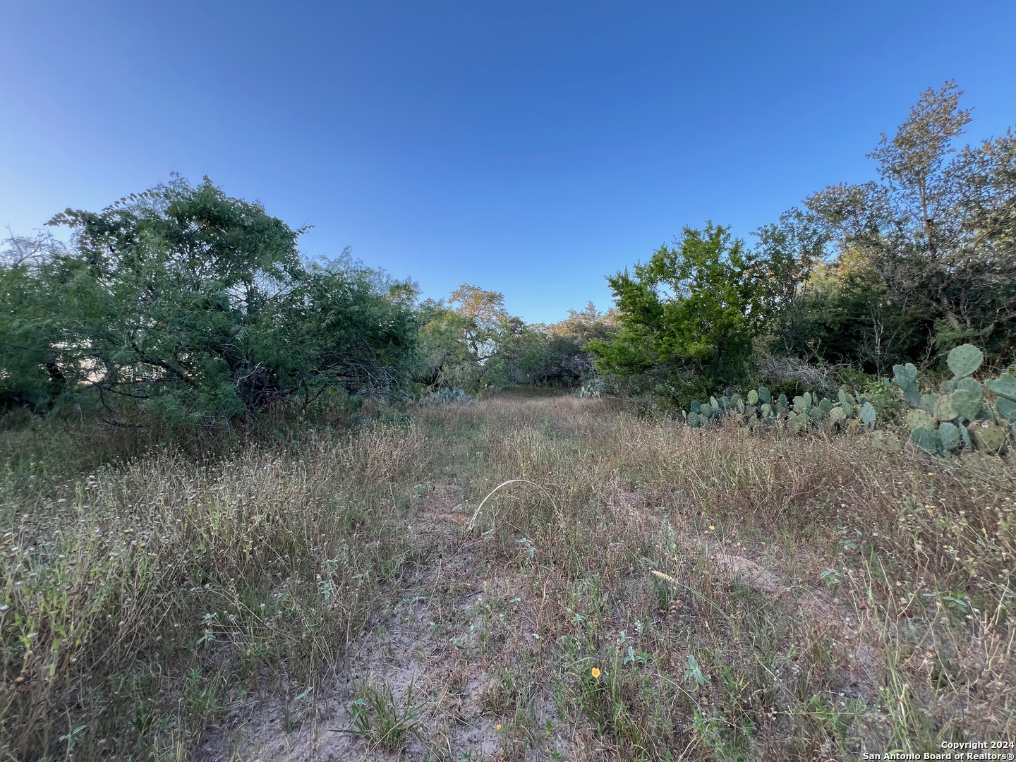 0 Bruce Road Pleasanton TX 78064