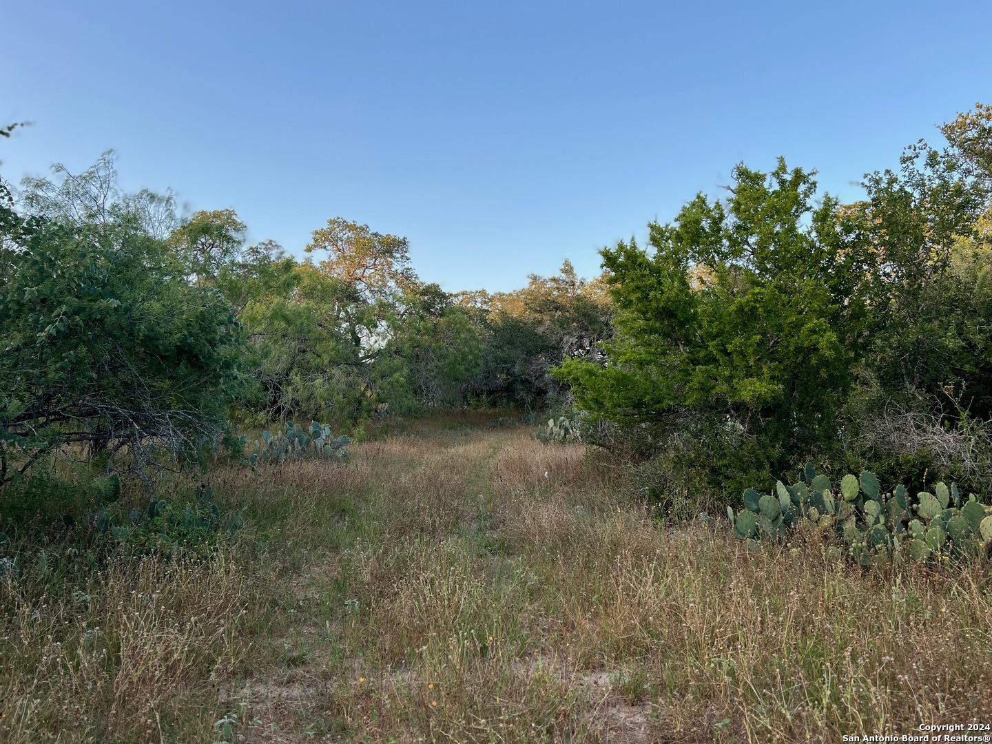 0 Bruce Road Pleasanton TX 78064