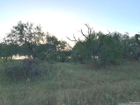0 Bruce Road Pleasanton TX 78064