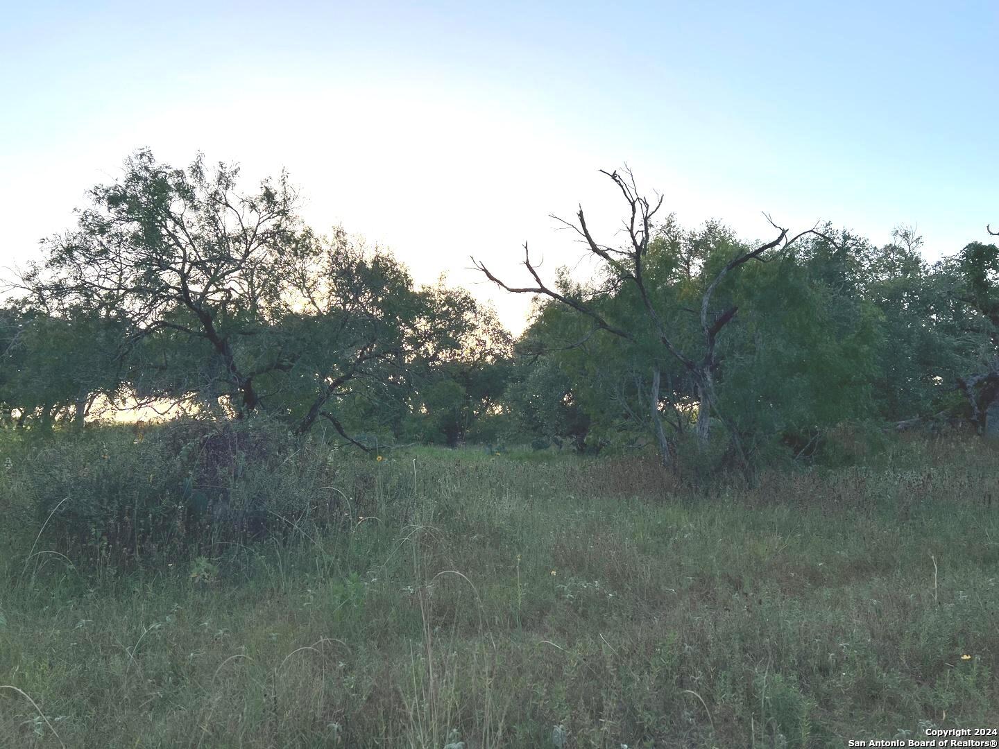 0 Bruce Road Pleasanton TX 78064