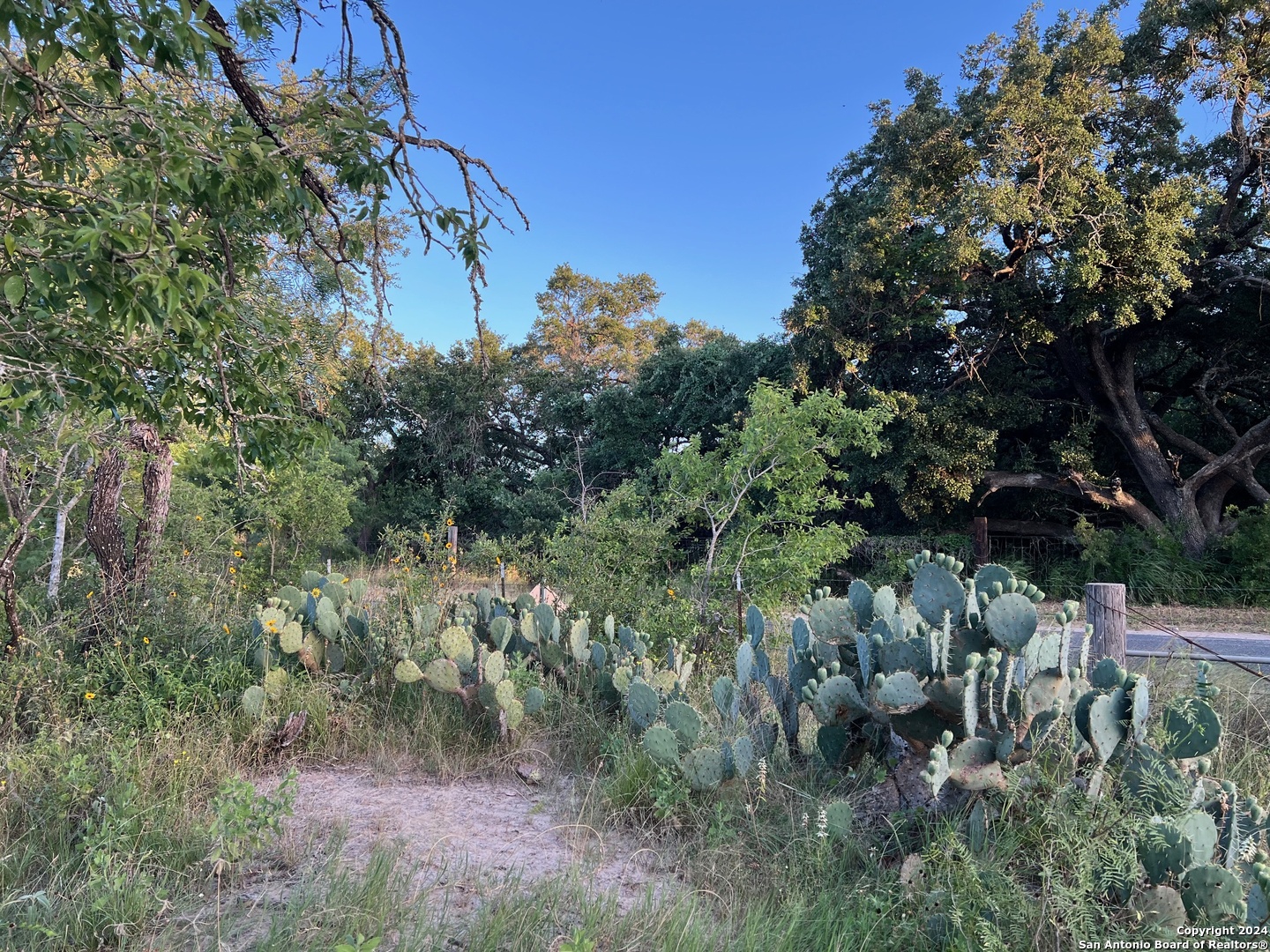 0 Bruce Road Pleasanton TX 78064