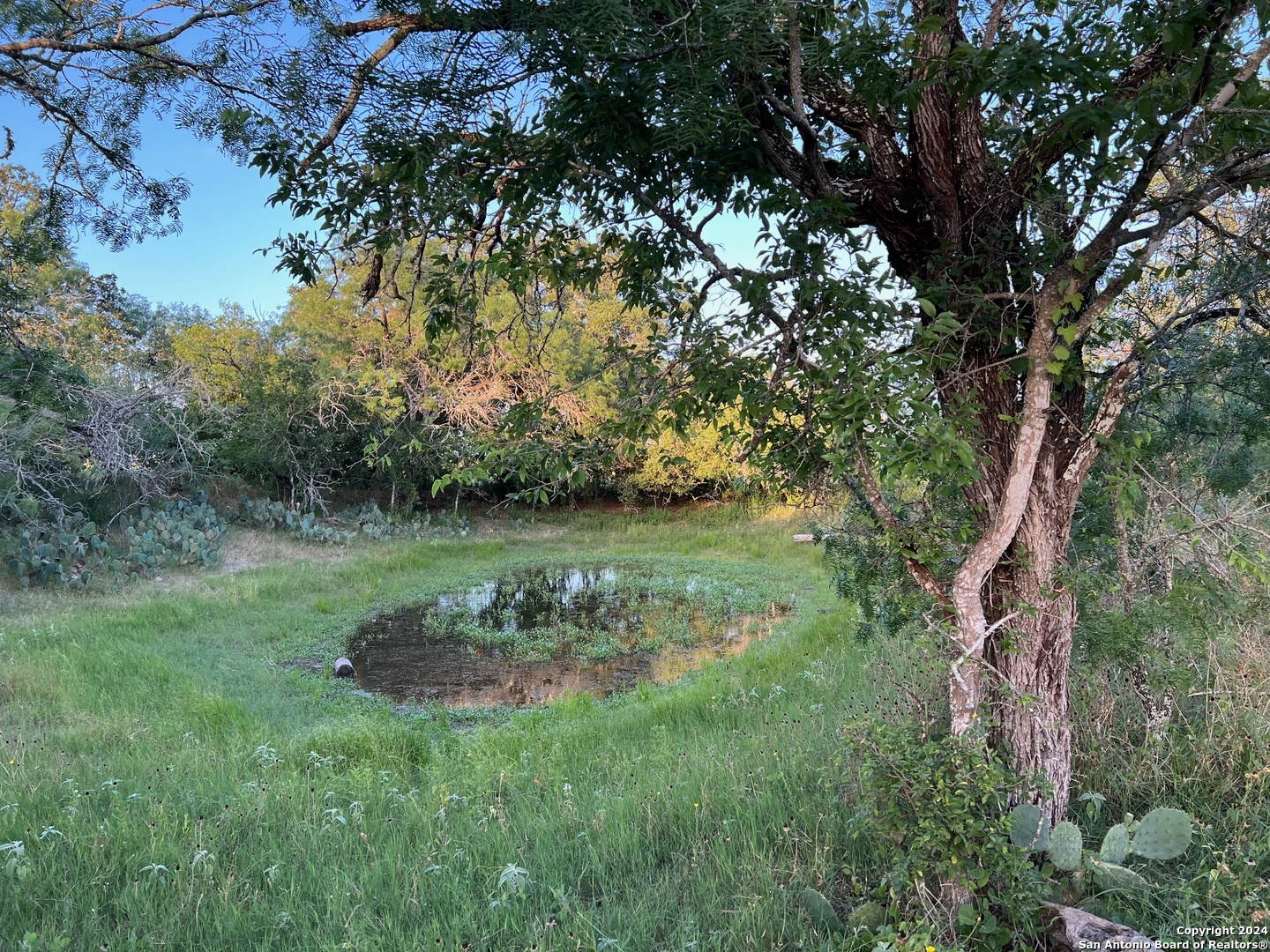 0 Bruce Road Pleasanton TX 78064