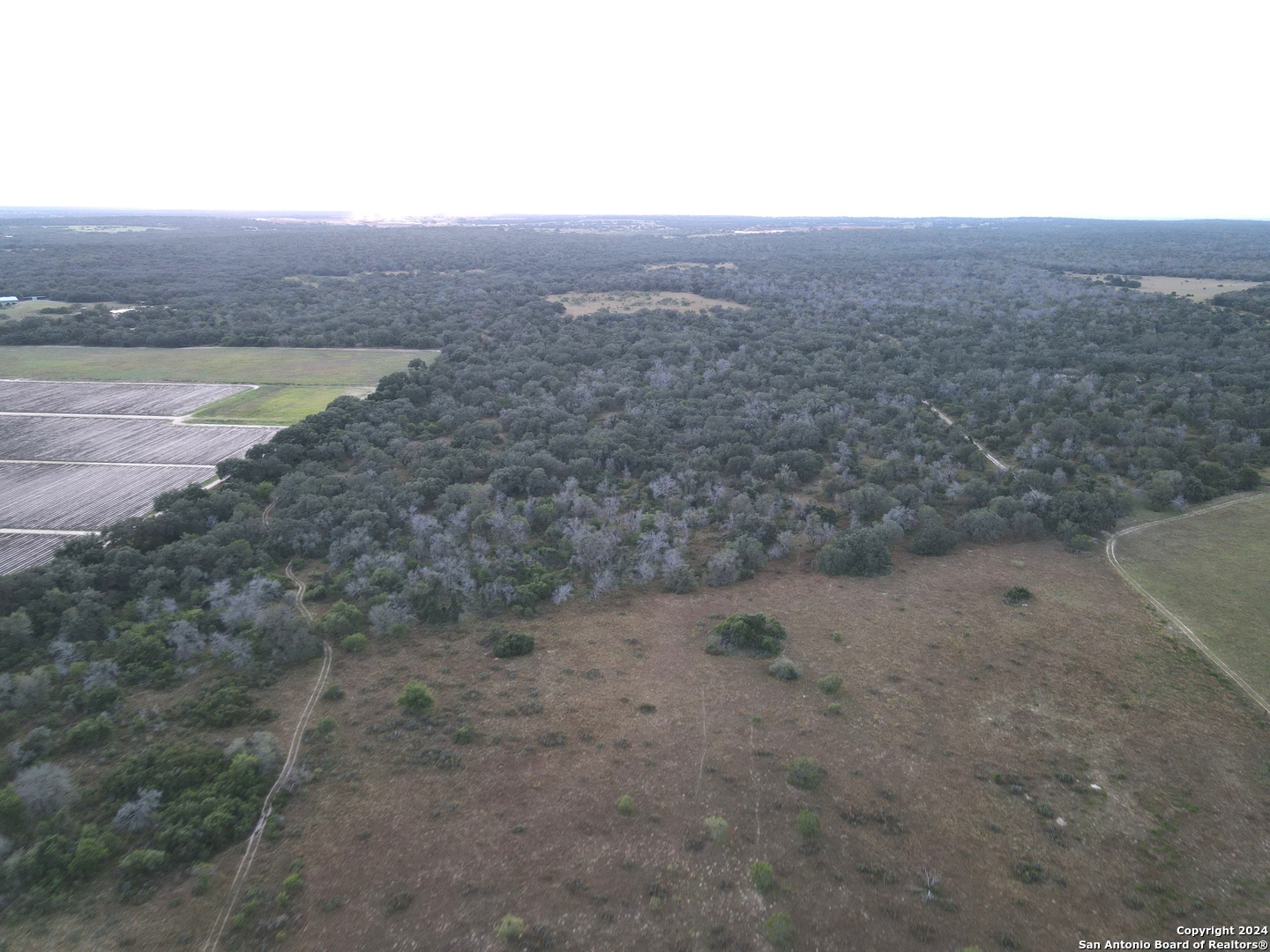 0 Bruce Road Pleasanton TX 78064