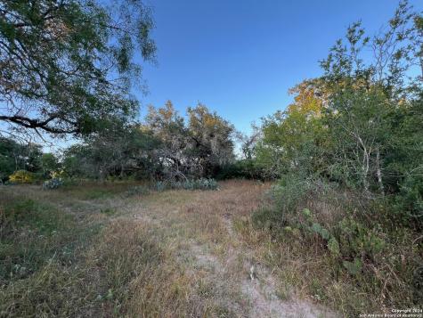 0 Bruce Road Pleasanton TX 78064