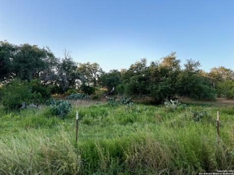 0 Bruce Road Pleasanton TX 78064