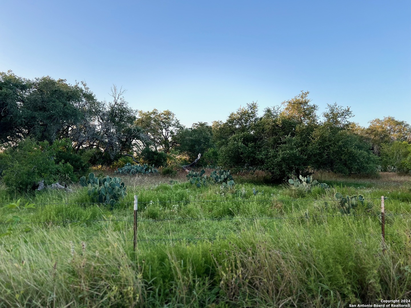0 Bruce Road Pleasanton TX 78064