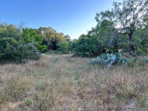 0 Bruce Road Pleasanton TX 78064