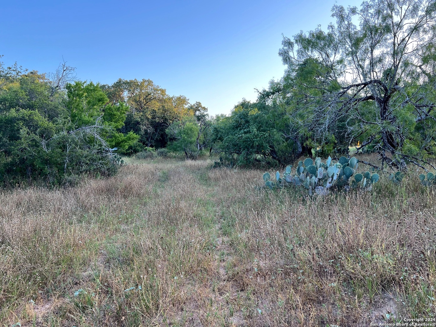 0 Bruce Road Pleasanton TX 78064