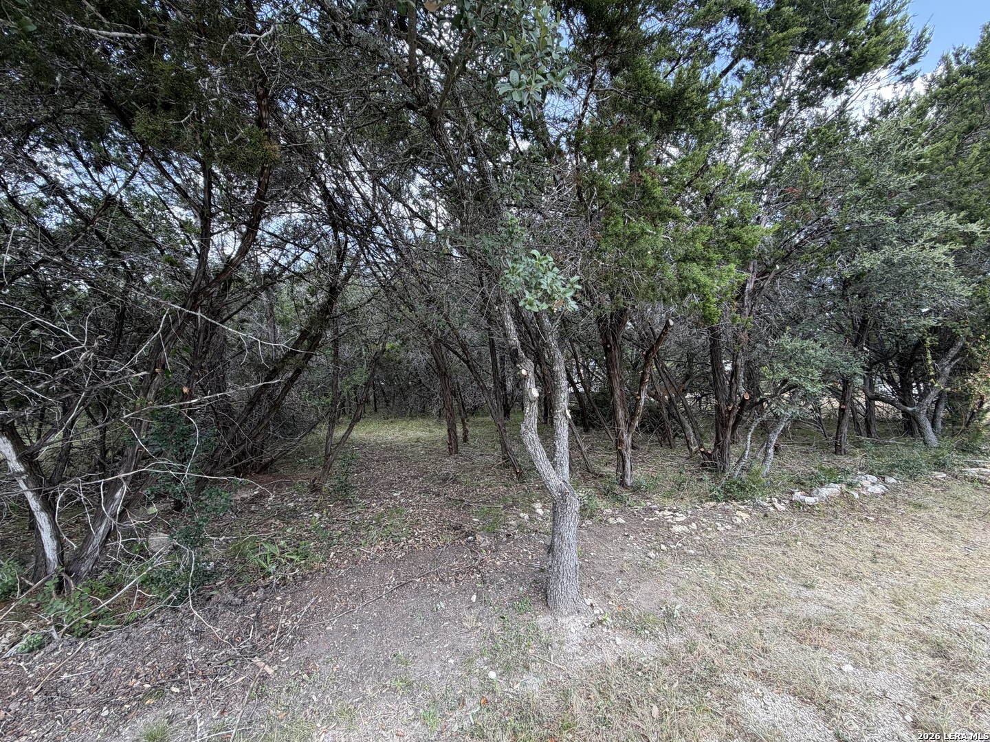 180 Rosenberry Bulverde TX 78163