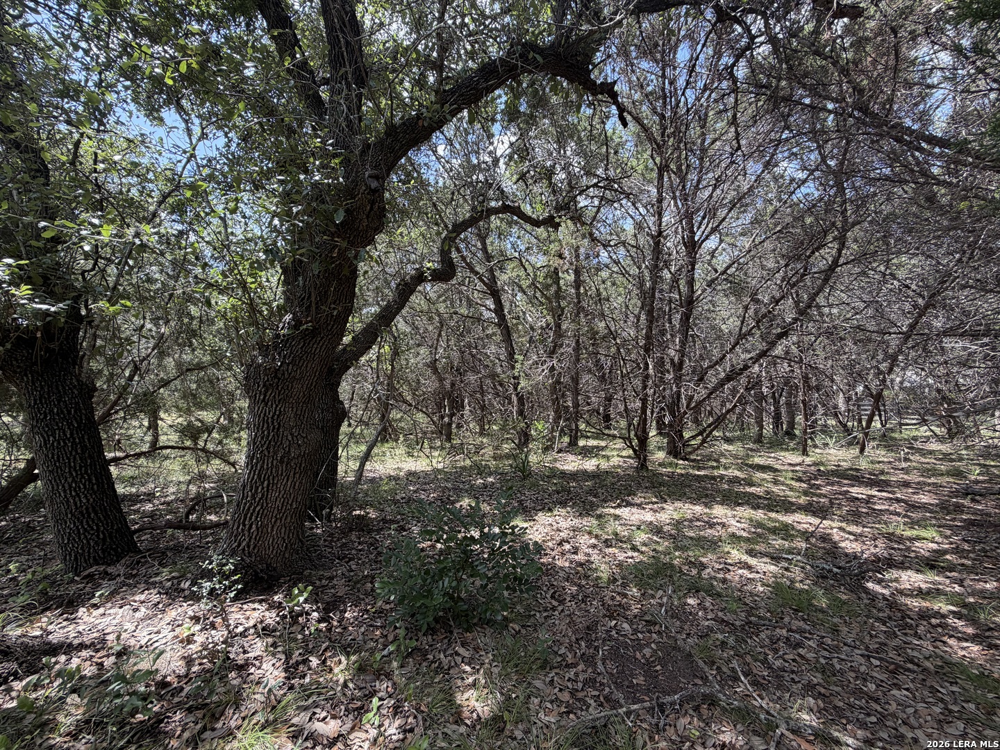 180 Rosenberry Bulverde TX 78163