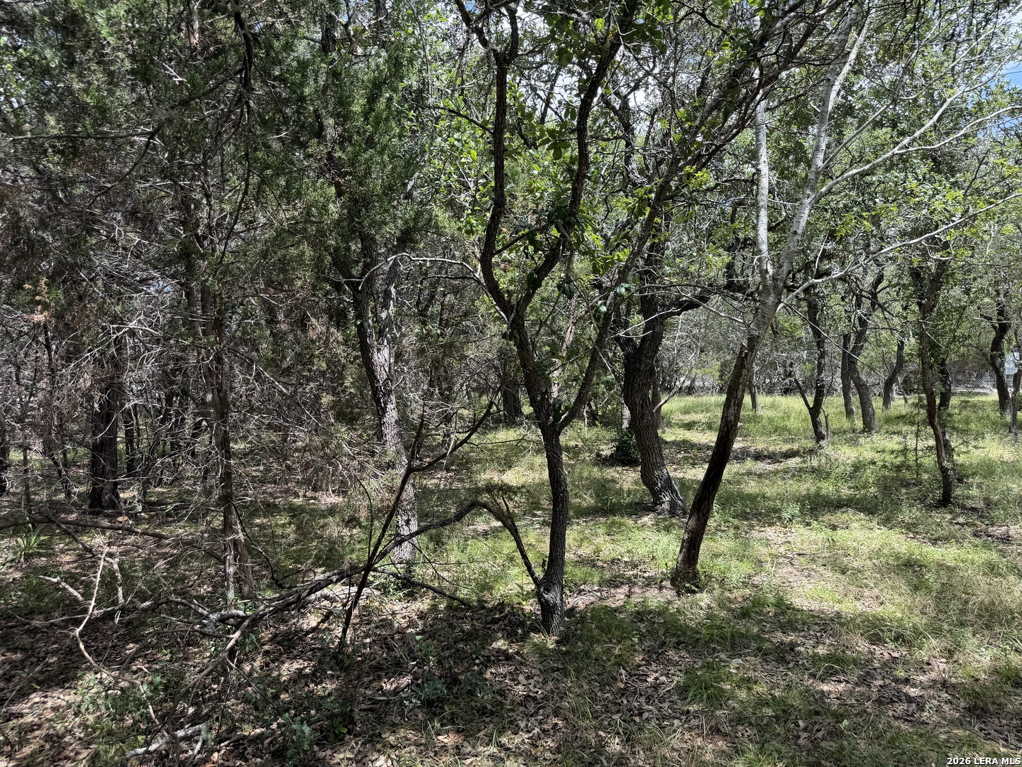 180 Rosenberry Bulverde TX 78163