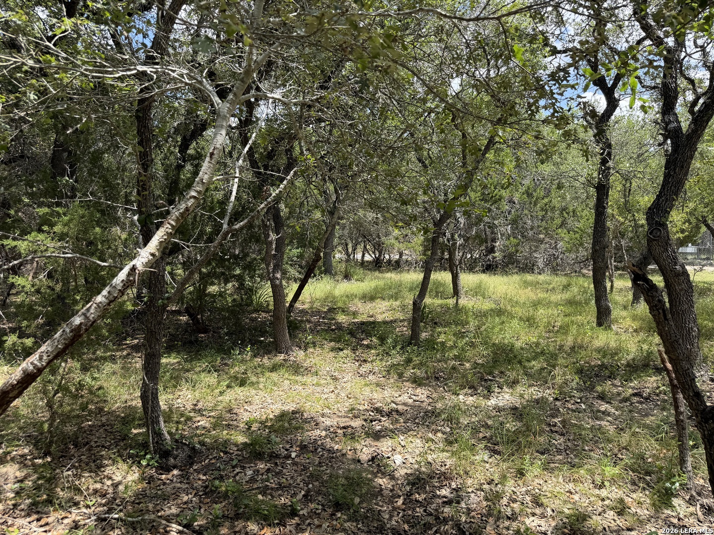 180 Rosenberry Bulverde TX 78163