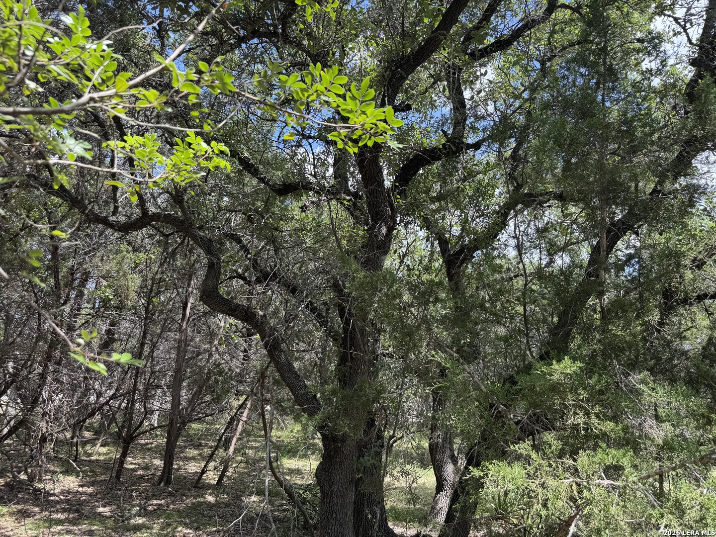 180 Rosenberry Bulverde TX 78163
