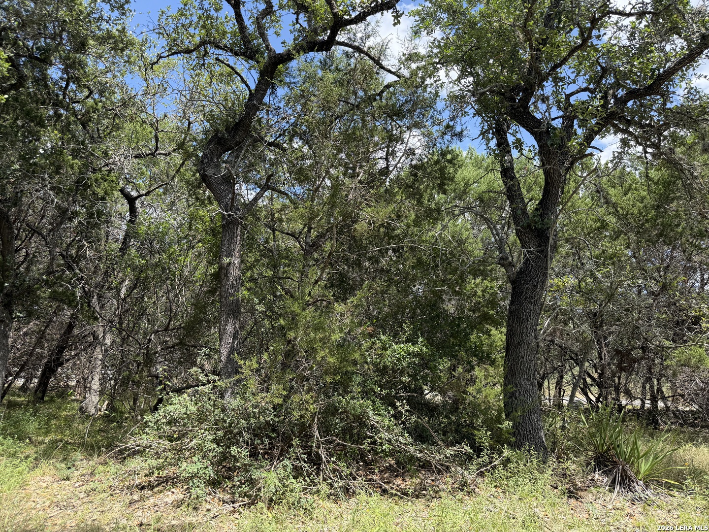 180 Rosenberry Bulverde TX 78163