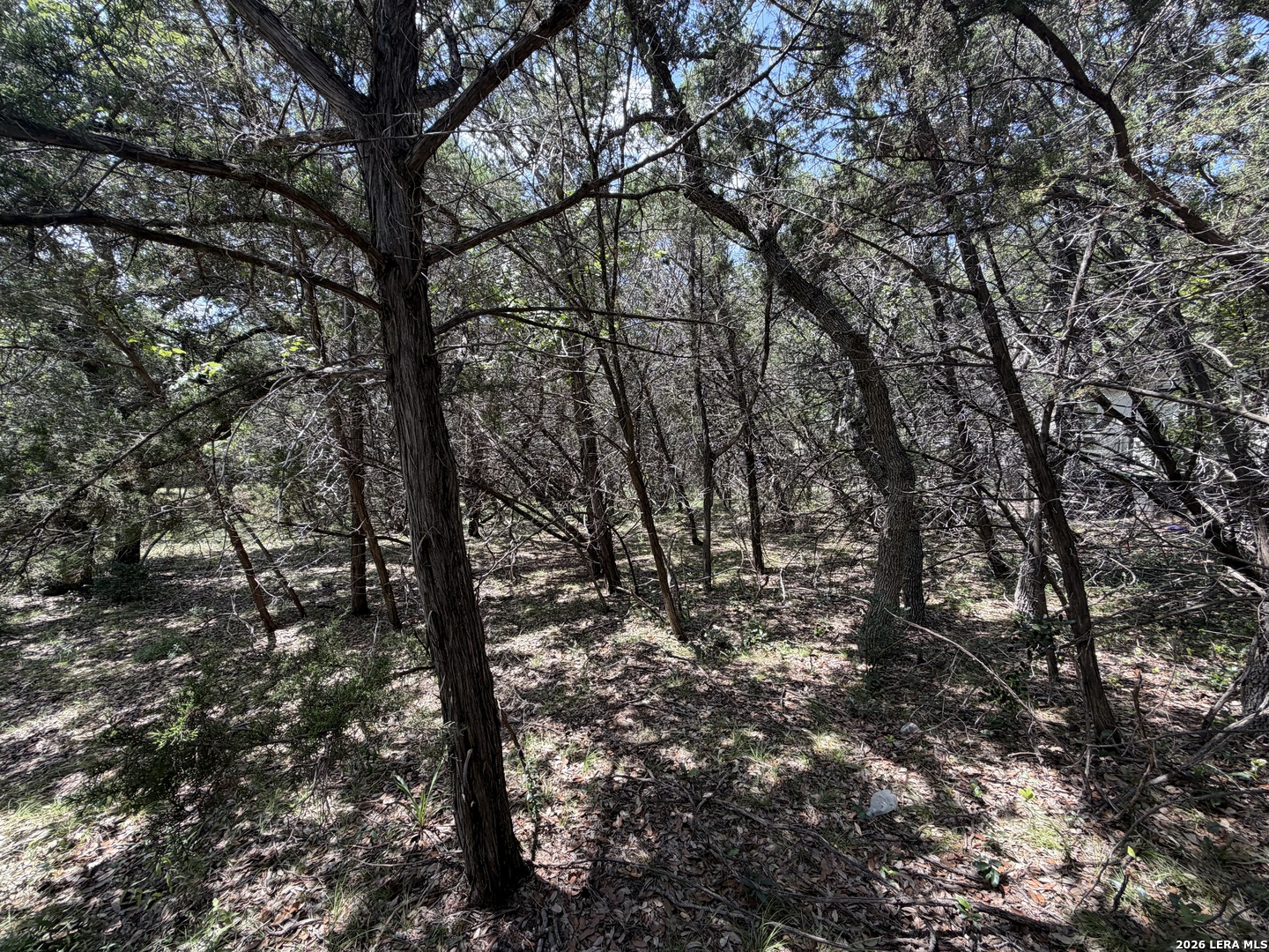 180 Rosenberry Bulverde TX 78163