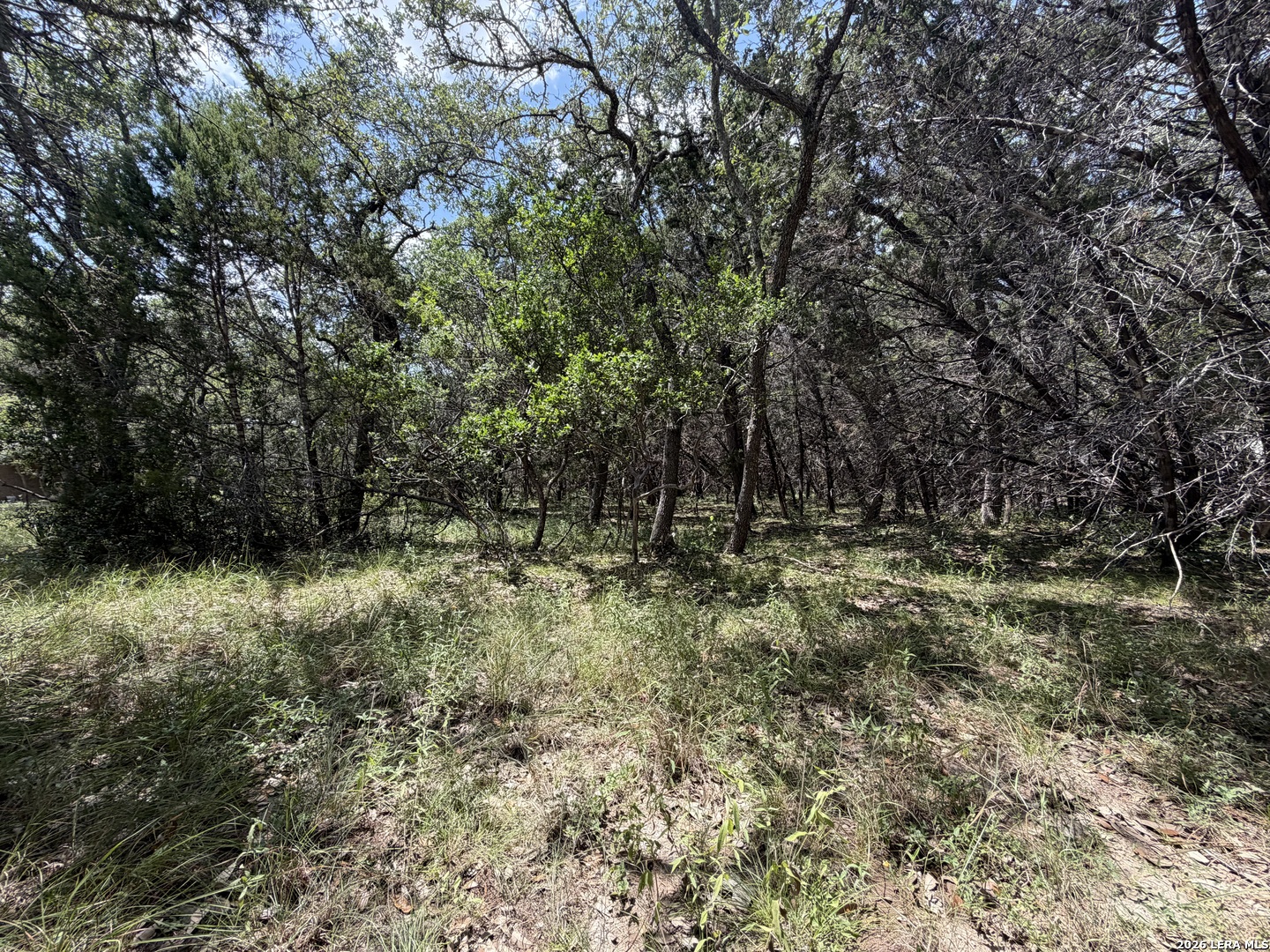 180 Rosenberry Bulverde TX 78163