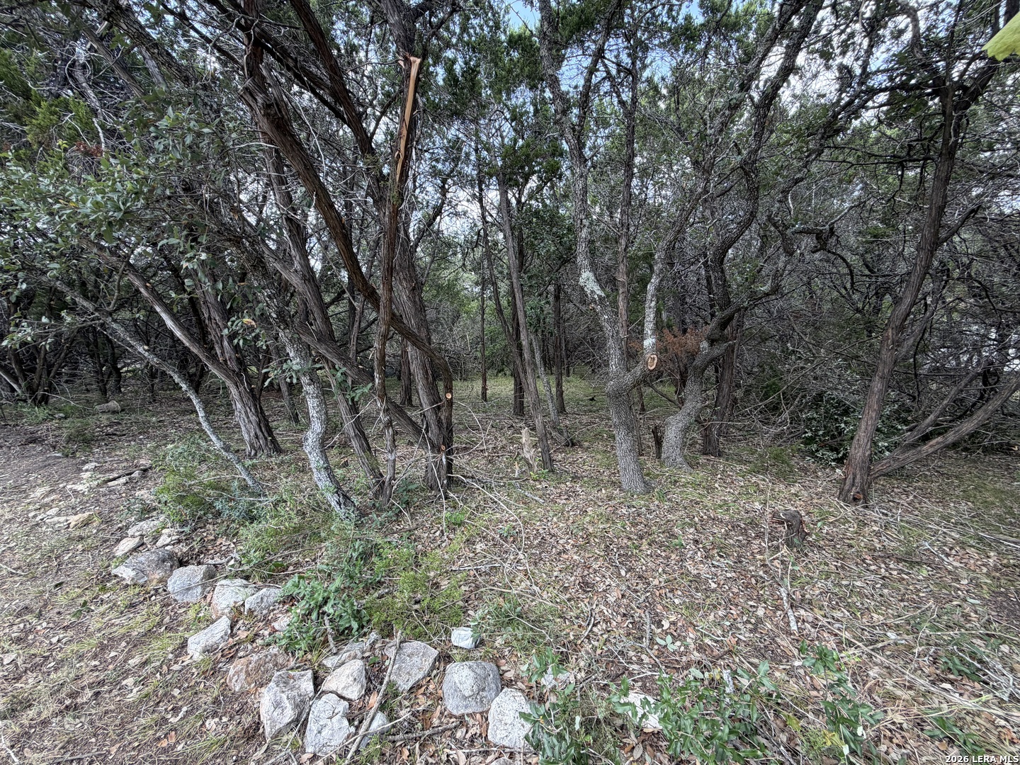 180 Rosenberry Bulverde TX 78163