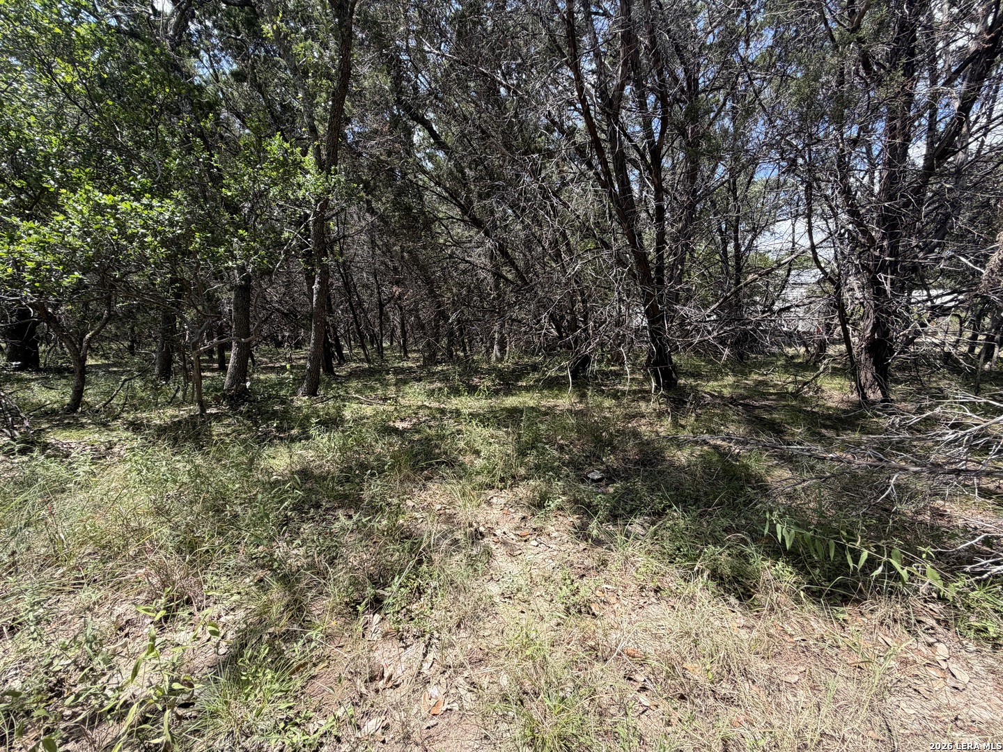 180 Rosenberry Bulverde TX 78163