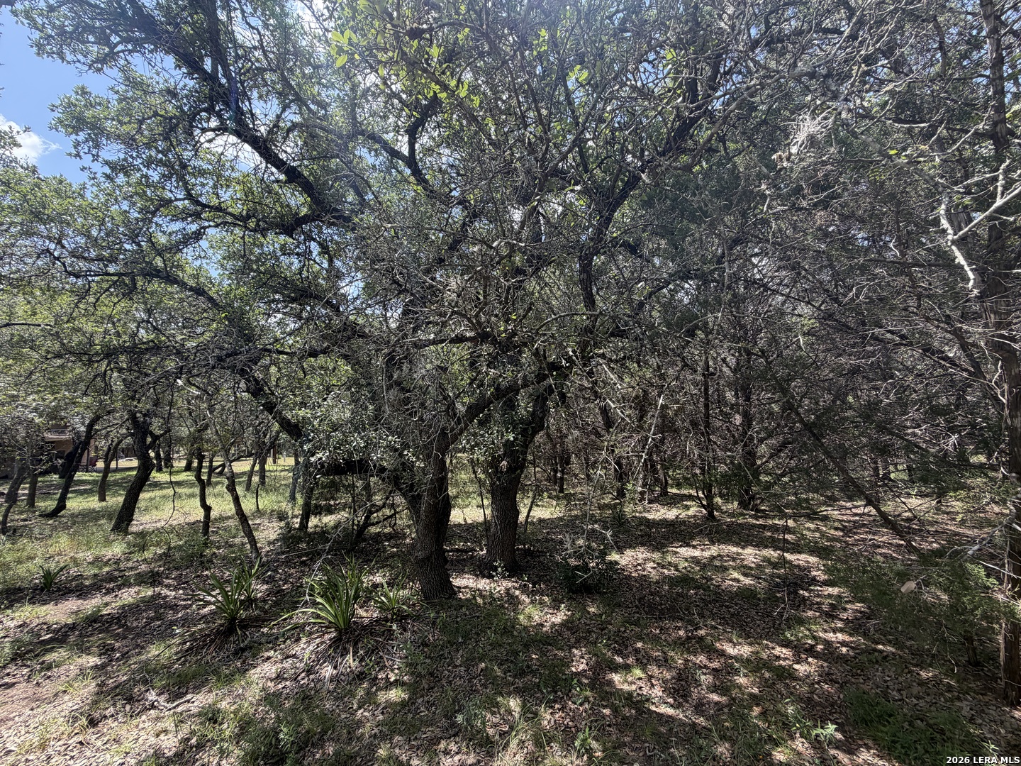 180 Rosenberry Bulverde TX 78163