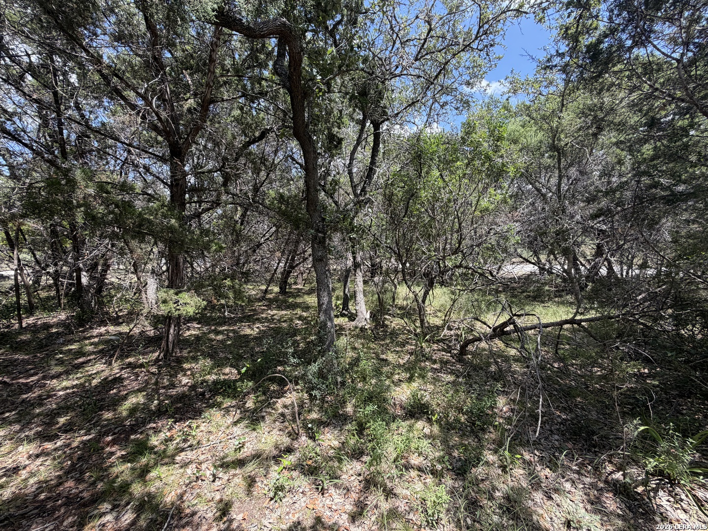 180 Rosenberry Bulverde TX 78163