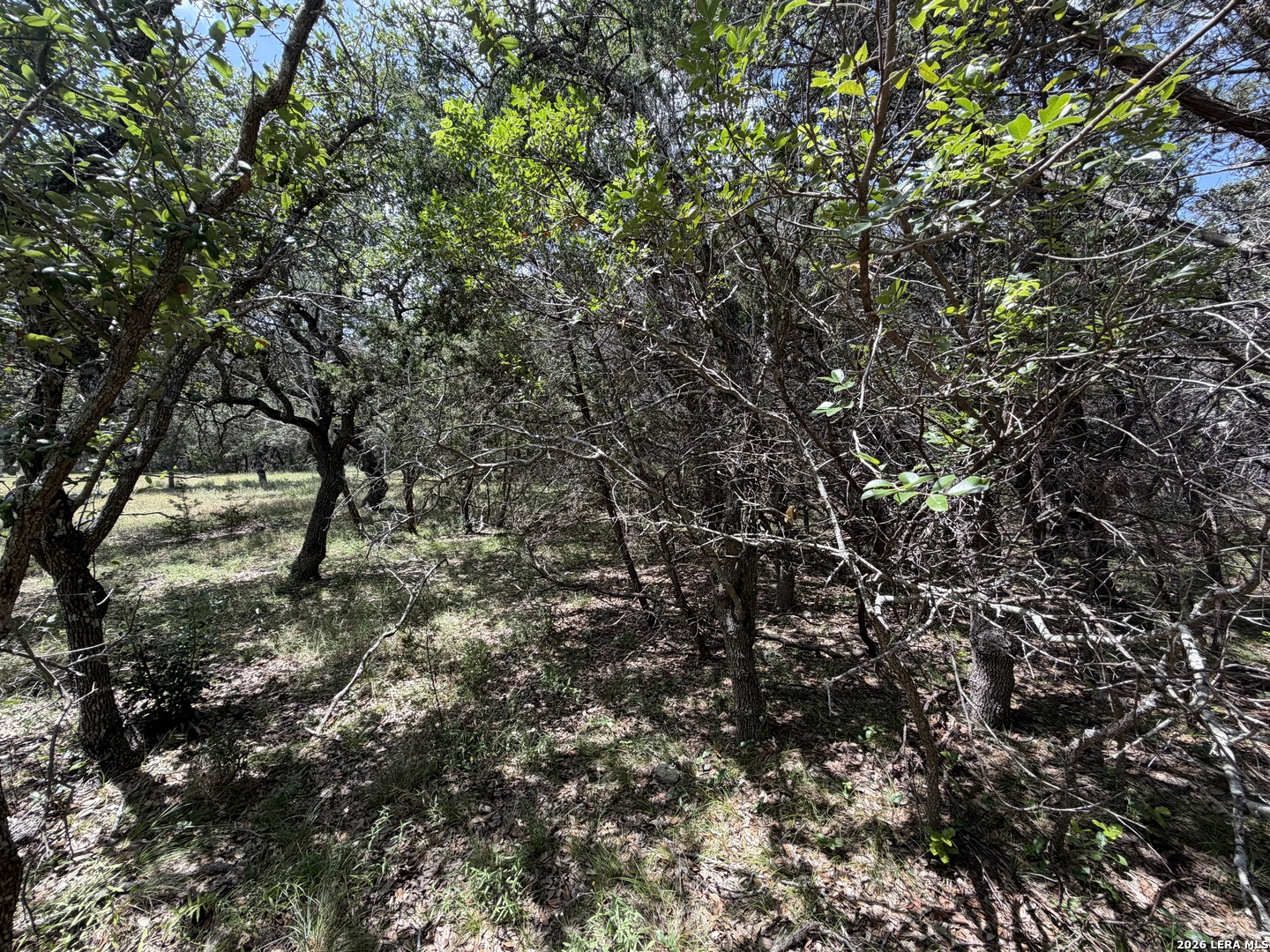 180 Rosenberry Bulverde TX 78163