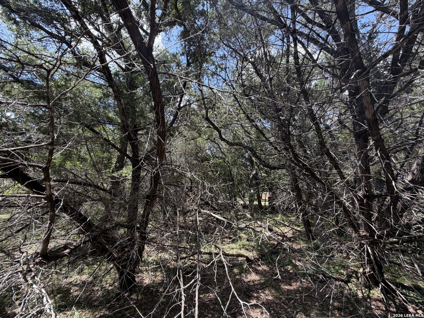 180 Rosenberry Bulverde TX 78163