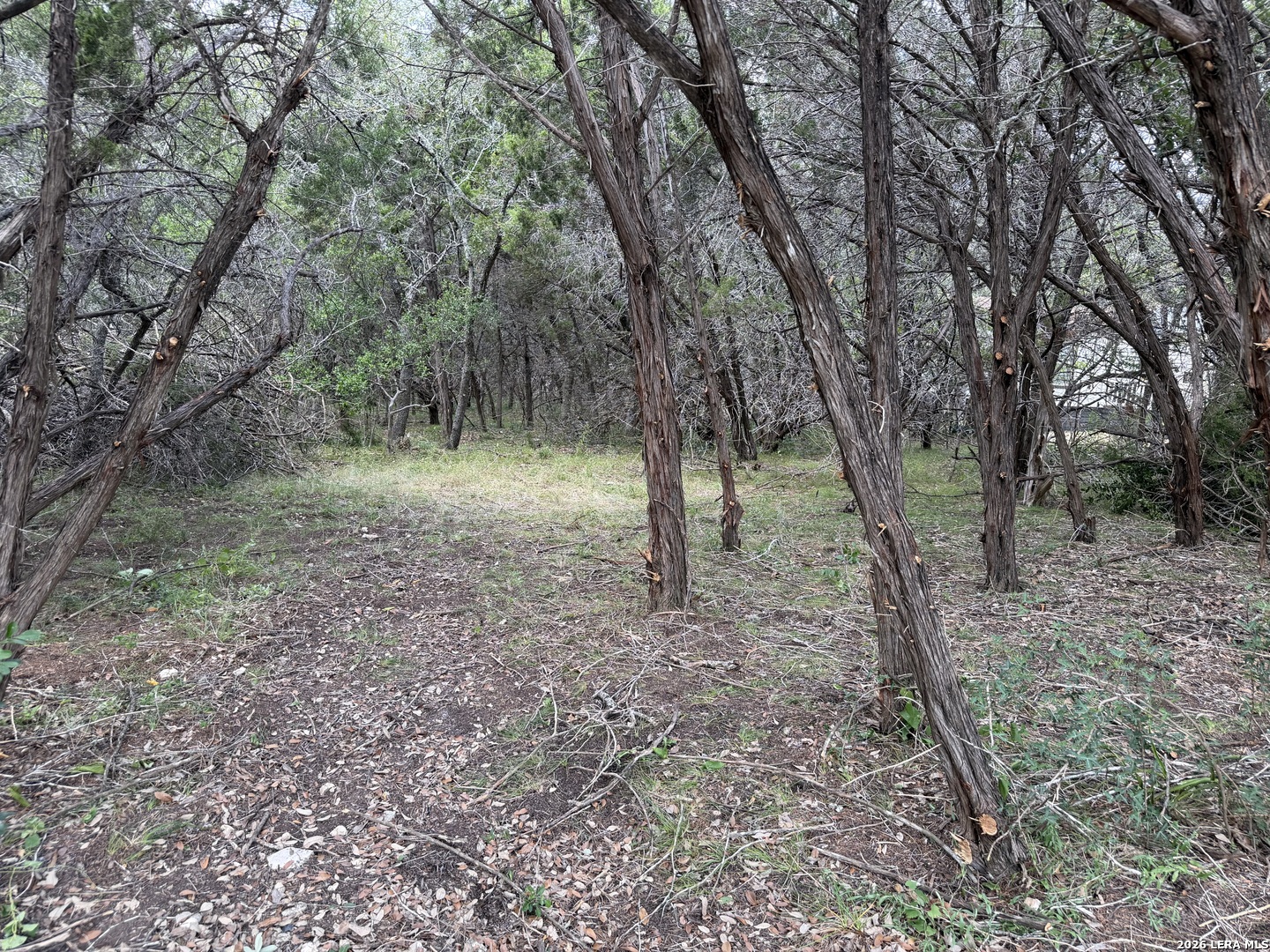 180 Rosenberry Bulverde TX 78163