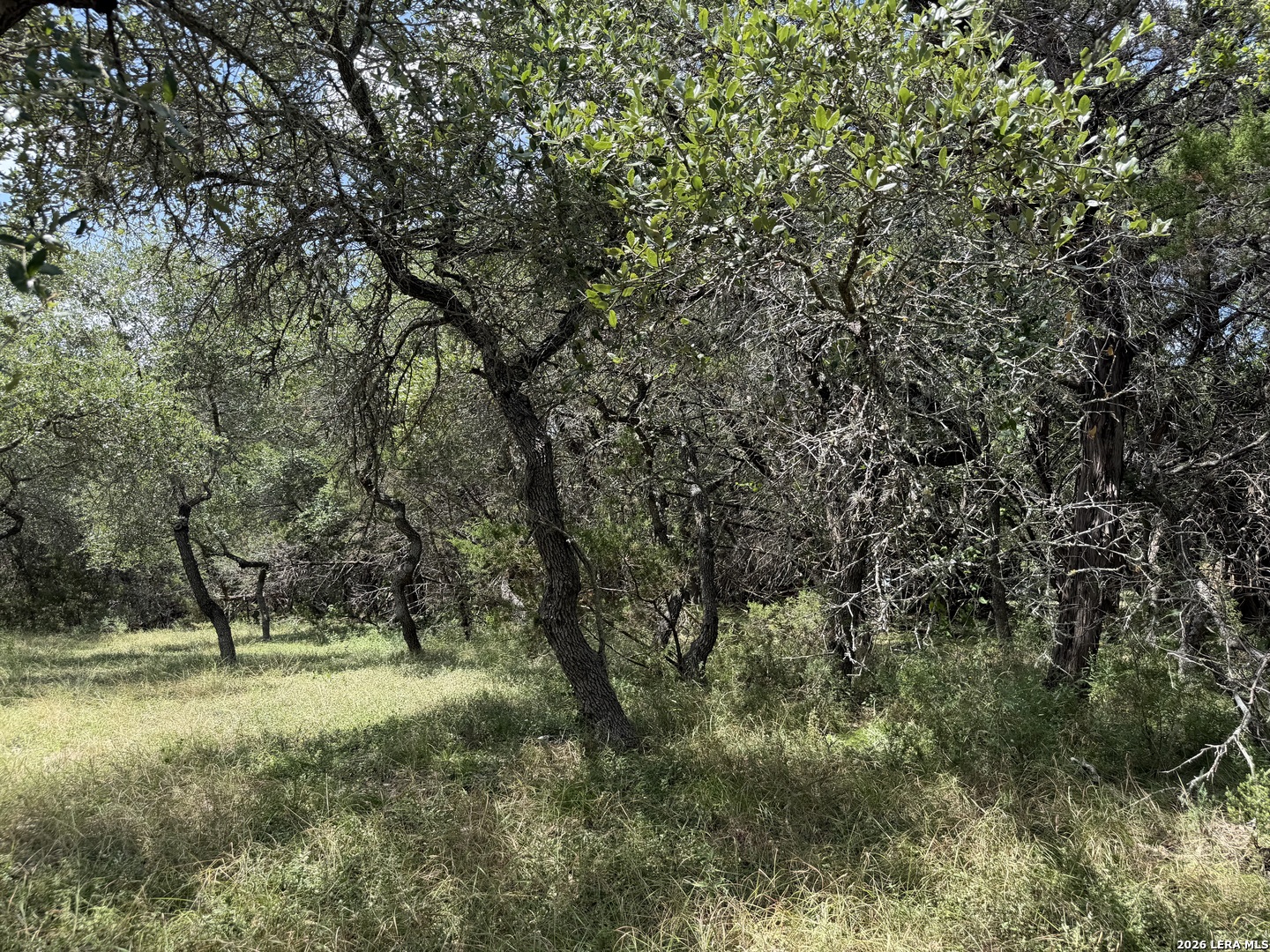180 Rosenberry Bulverde TX 78163