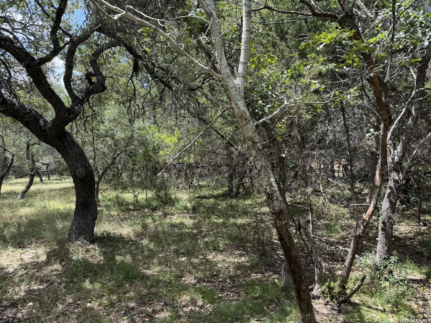 180 Rosenberry Bulverde TX 78163