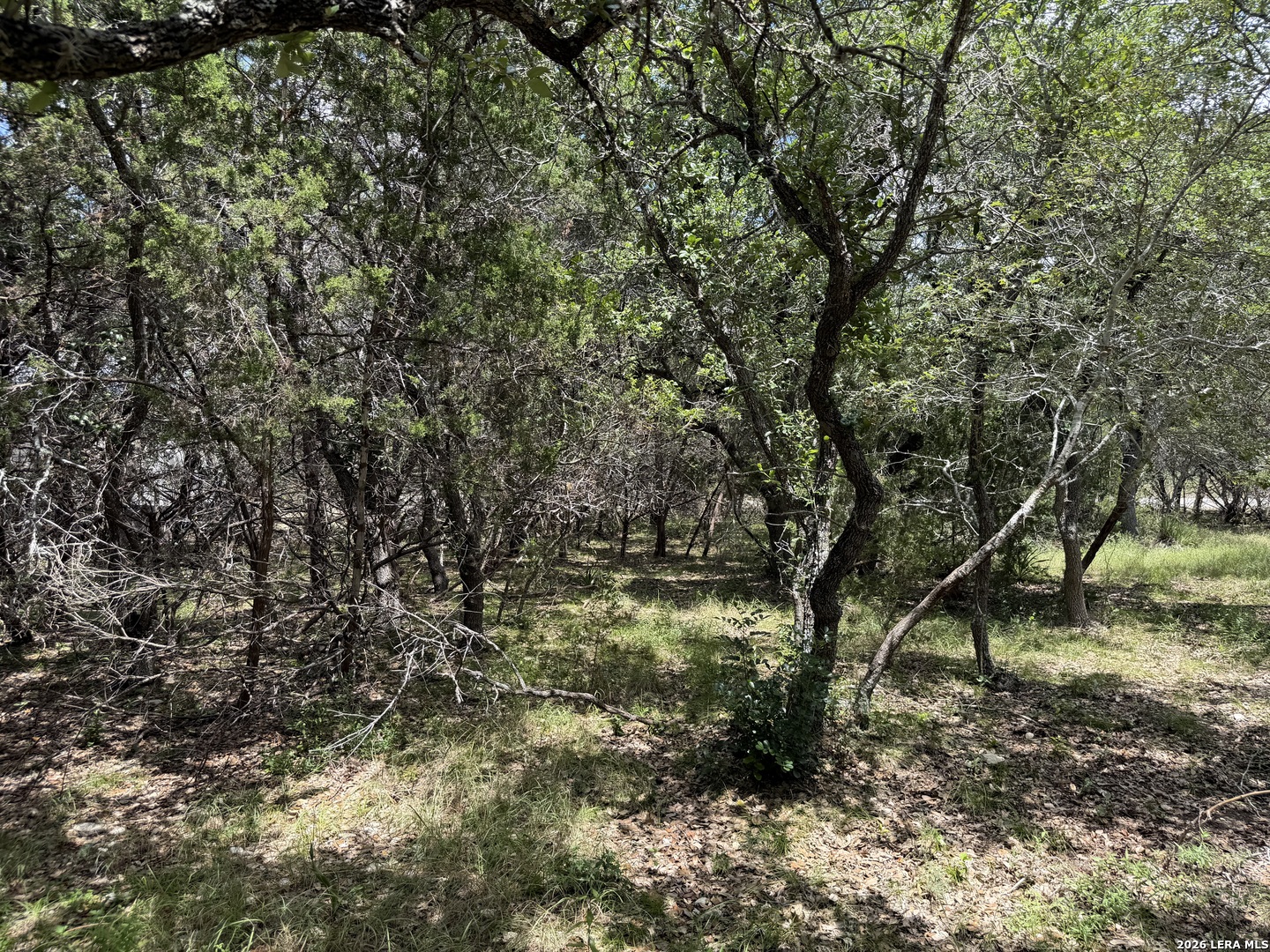 180 Rosenberry Bulverde TX 78163