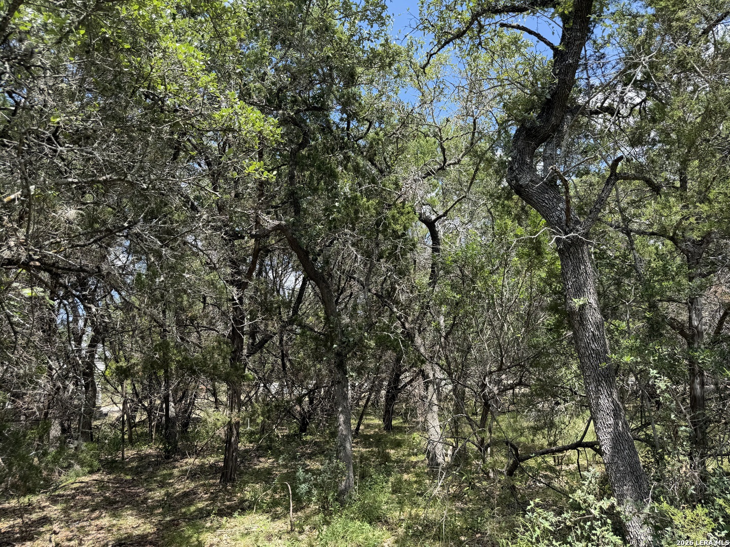 180 Rosenberry Bulverde TX 78163