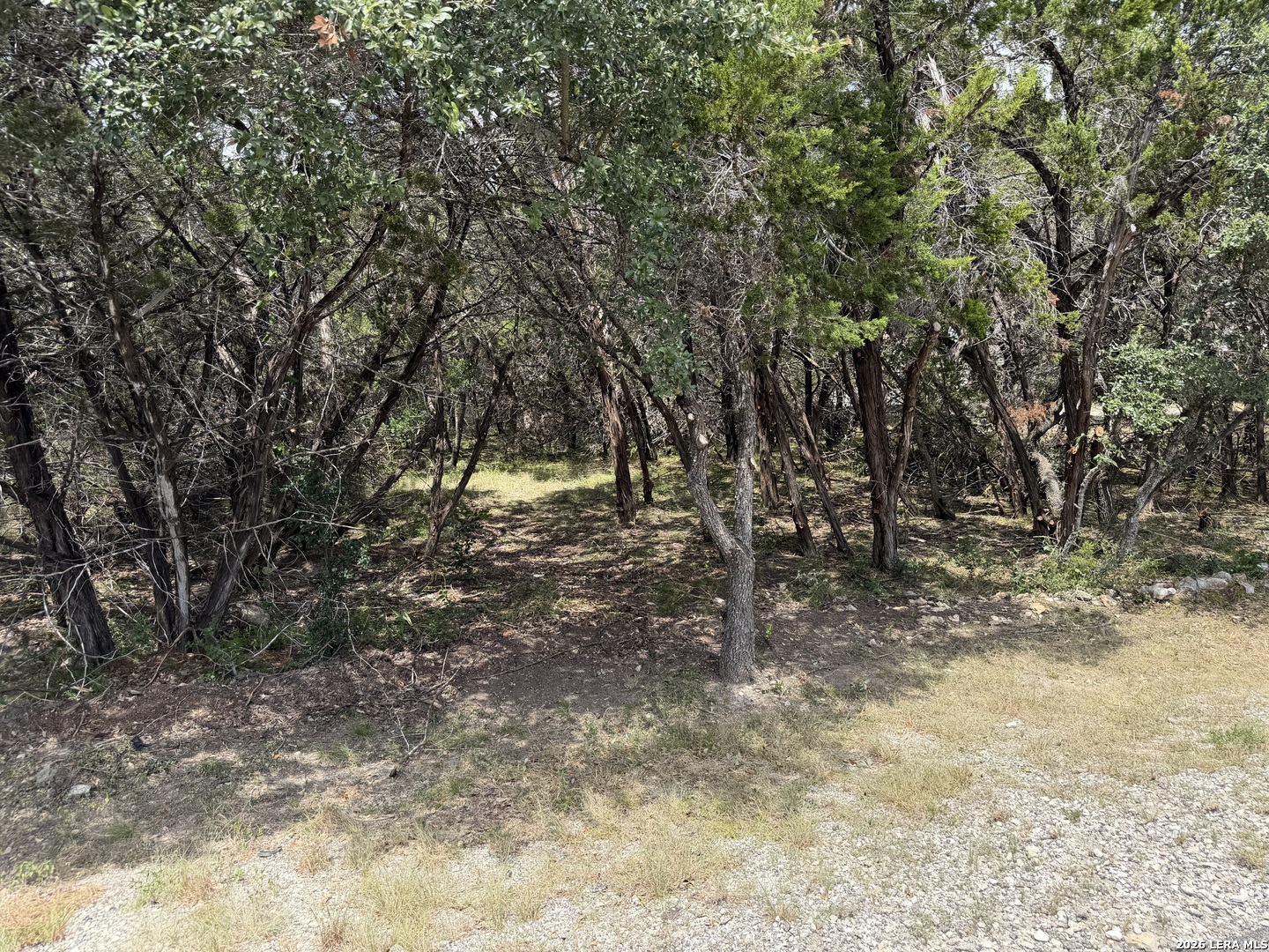 180 Rosenberry Bulverde TX 78163