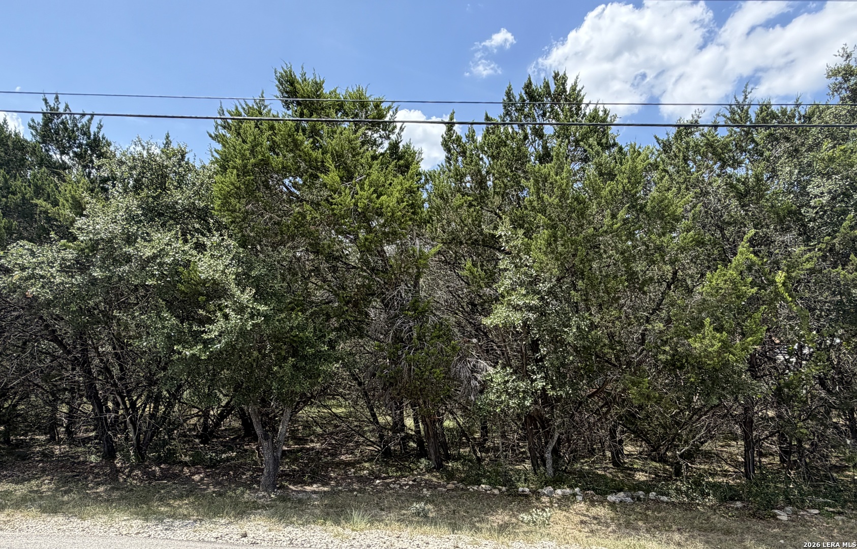 180 Rosenberry Bulverde TX 78163
