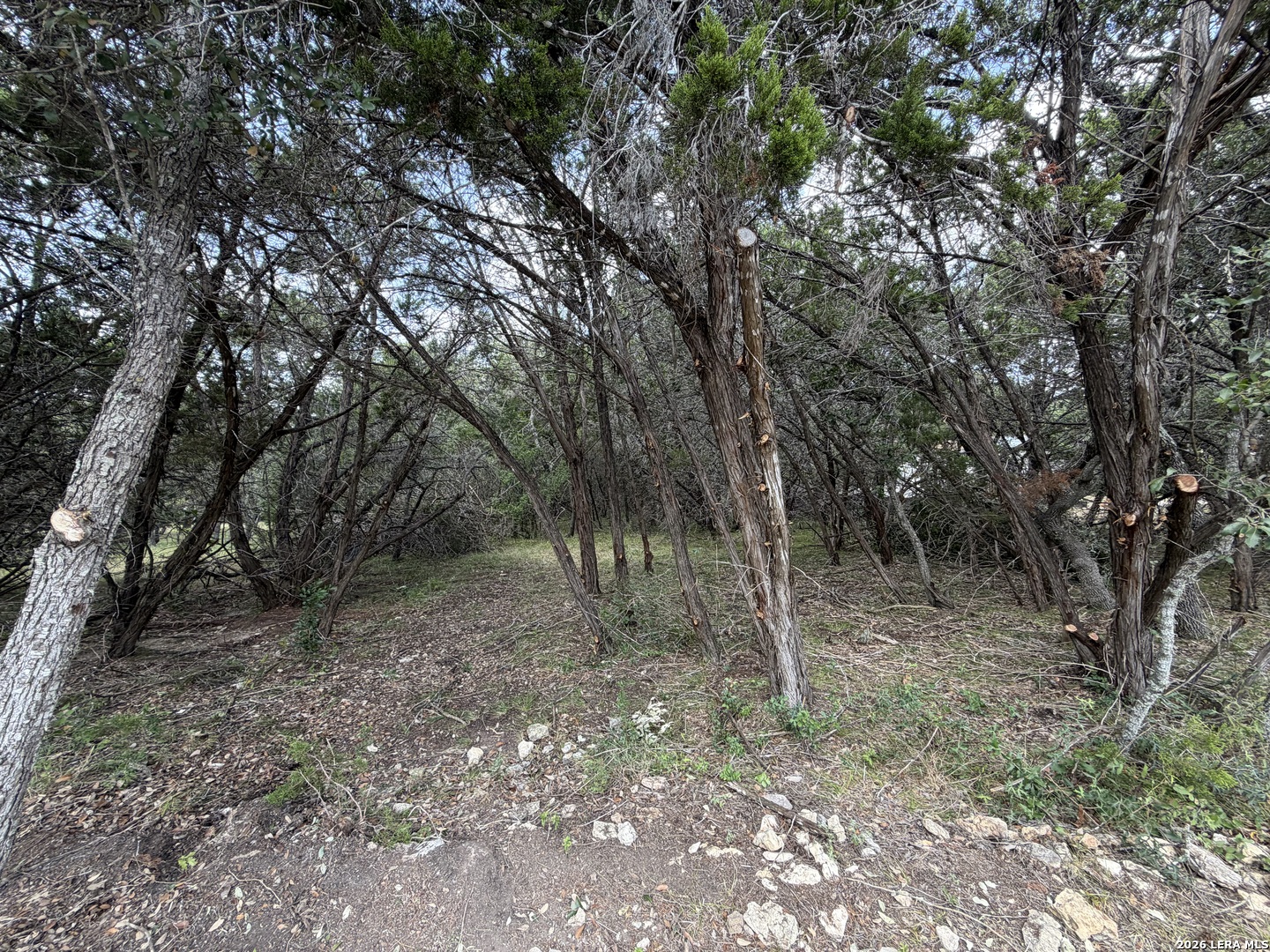 180 Rosenberry Bulverde TX 78163