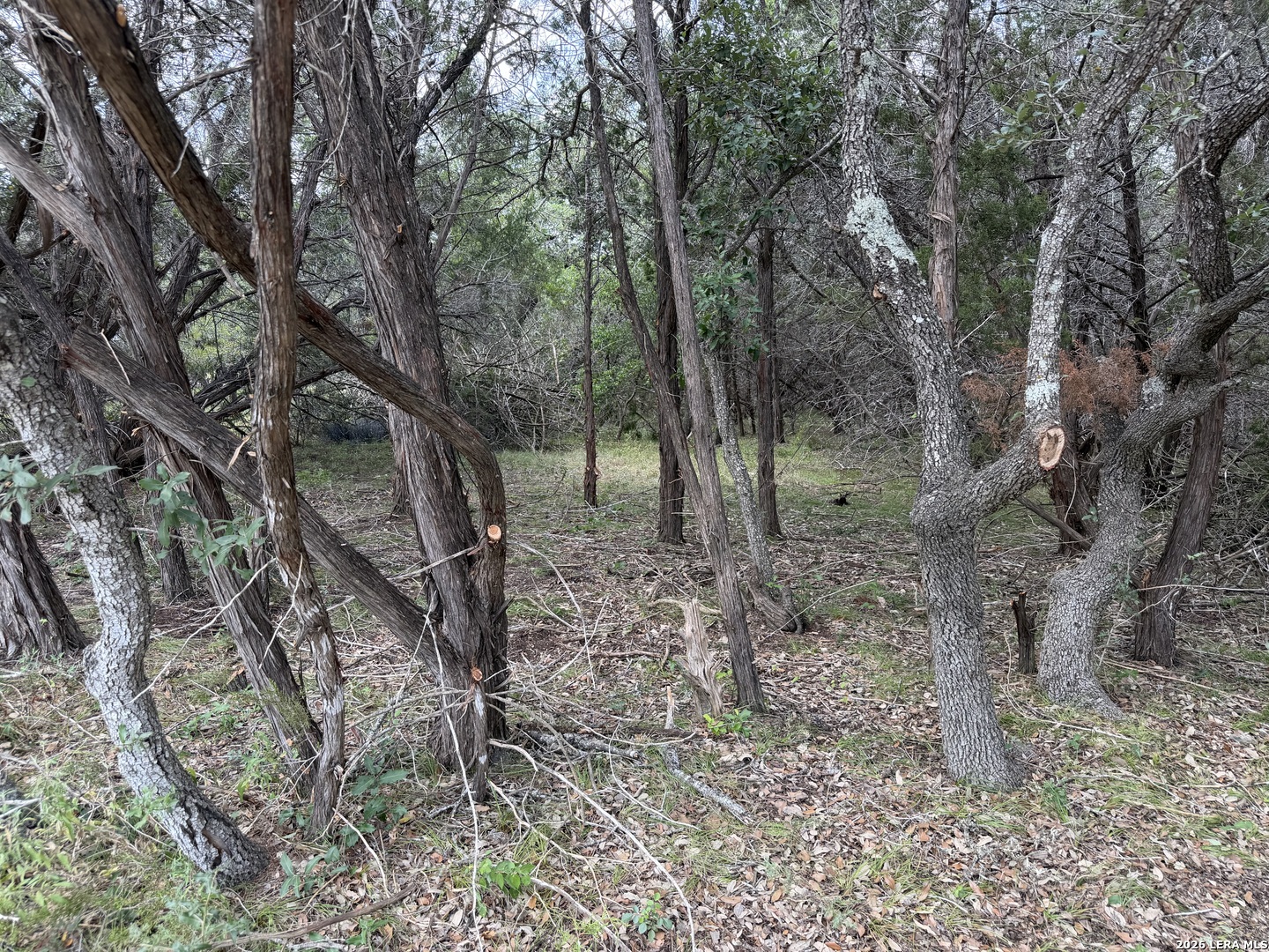 180 Rosenberry Bulverde TX 78163