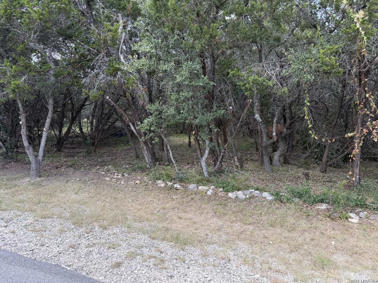 180 Rosenberry Bulverde TX 78163