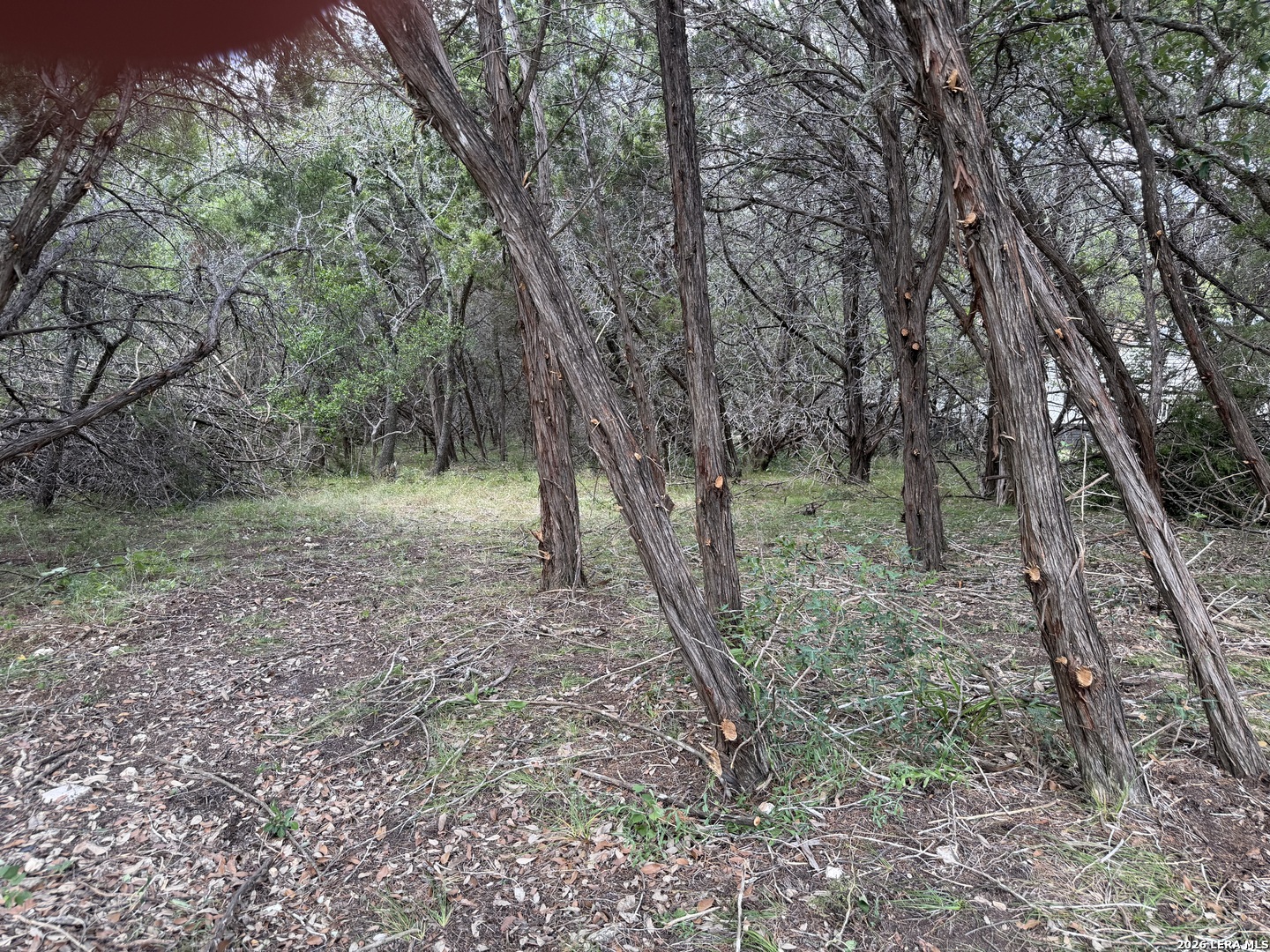 180 Rosenberry Bulverde TX 78163