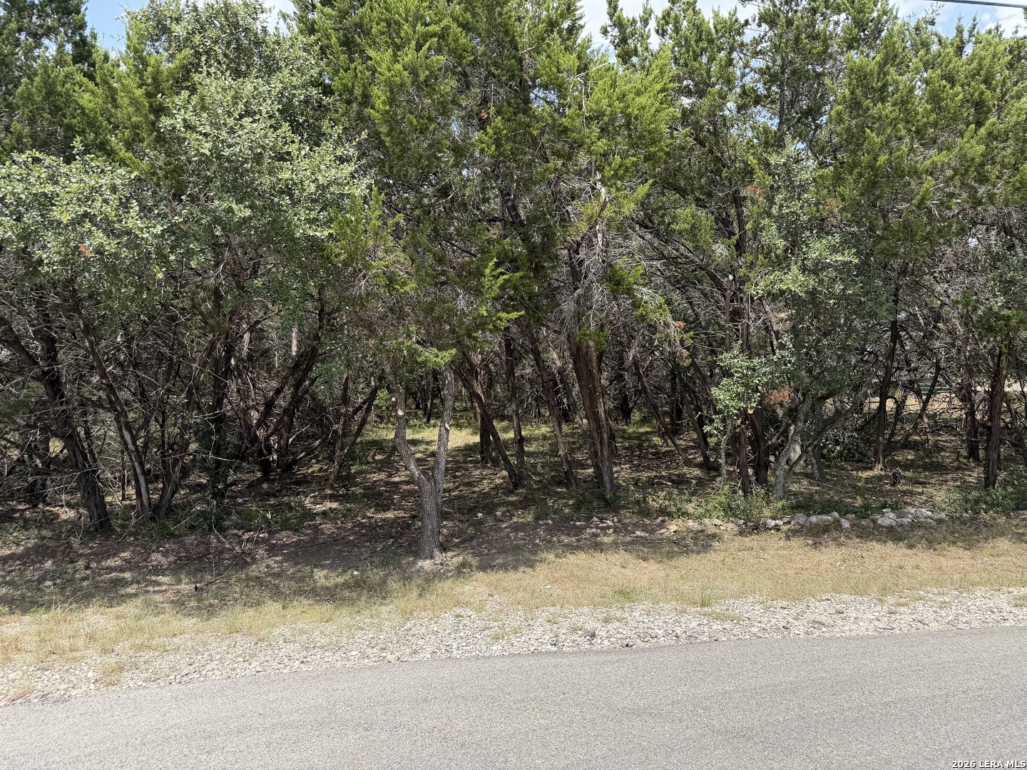180 Rosenberry Bulverde TX 78163