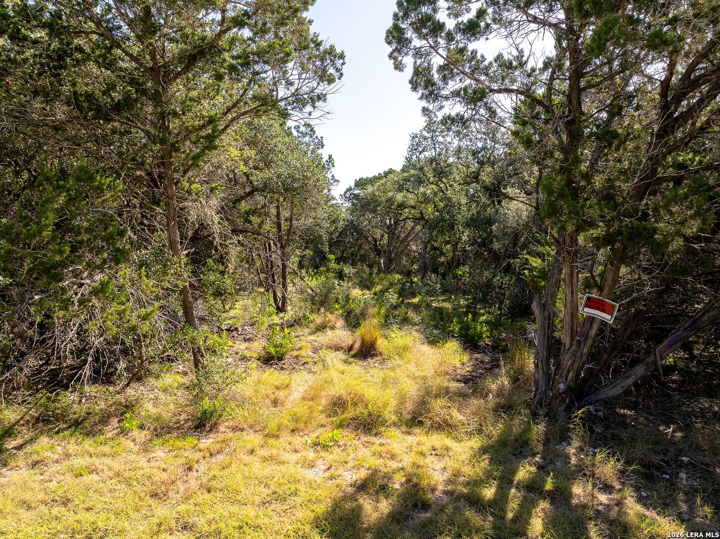 0 Cedar Run Pipe Creek TX 78063