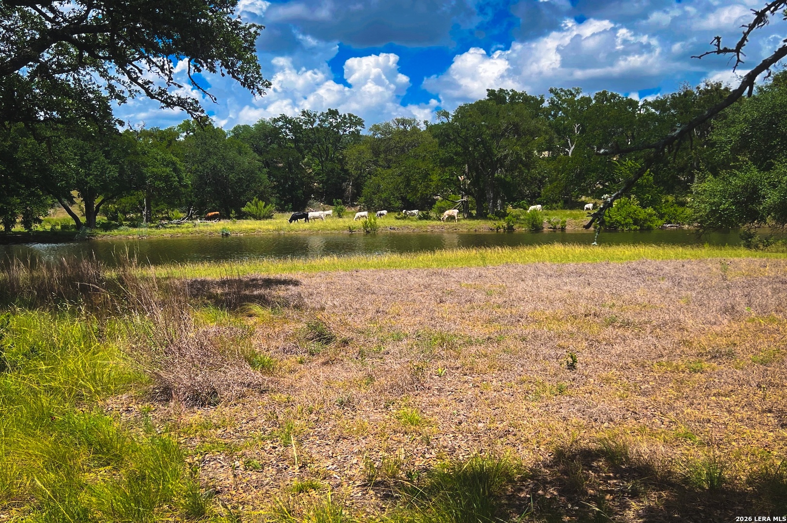 1364 N Walnut Springs Road Johnson City TX 78636
