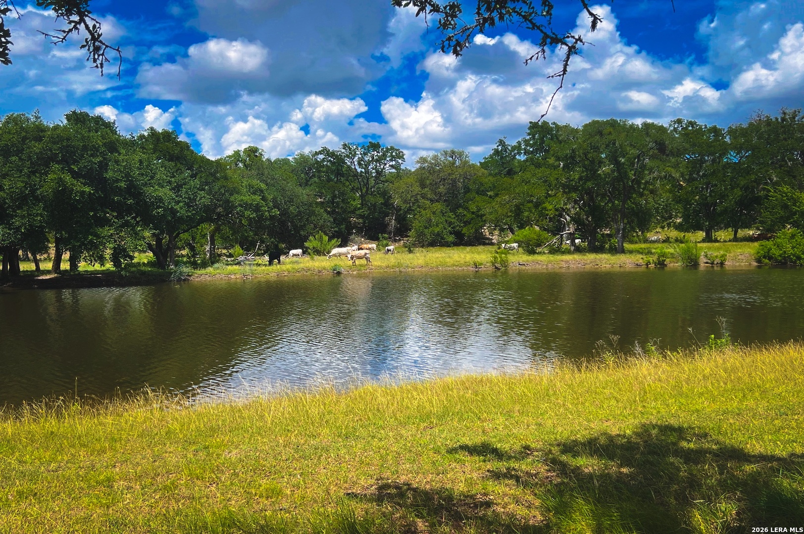 1364 N Walnut Springs Road Johnson City TX 78636