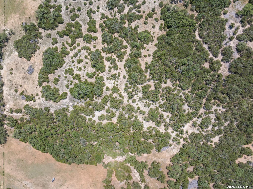 2480 Scenic View Drive Fischer TX 78623