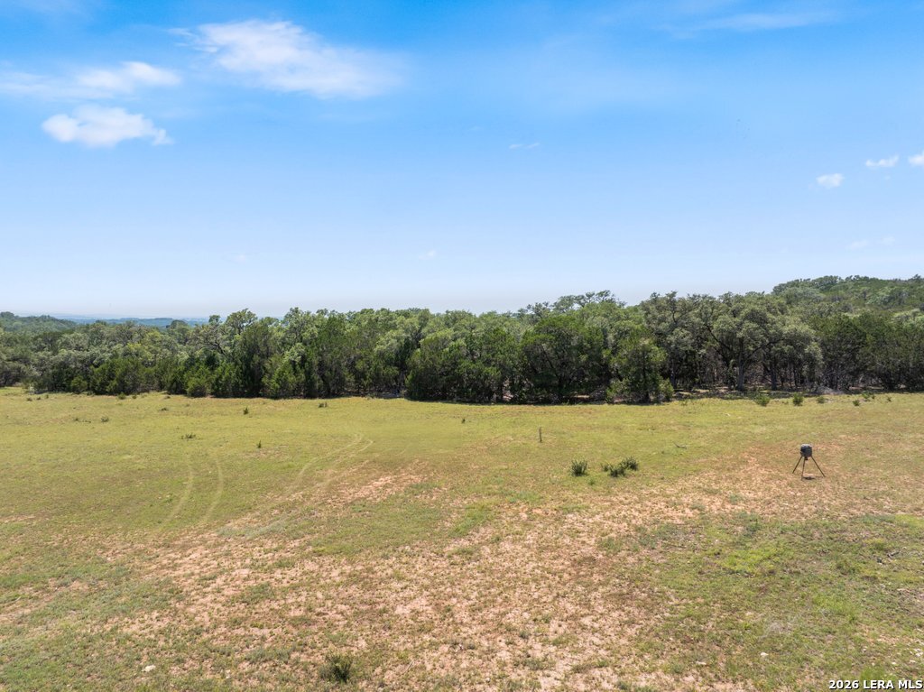 2480 Scenic View Drive Fischer TX 78623
