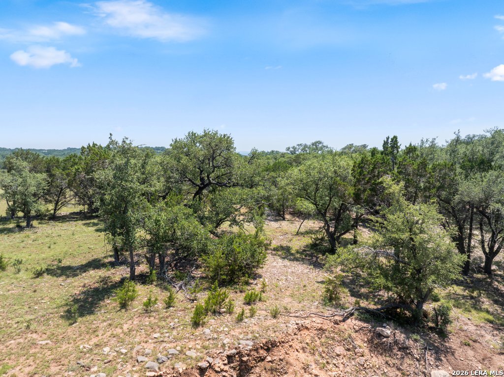 2480 Scenic View Drive Fischer TX 78623