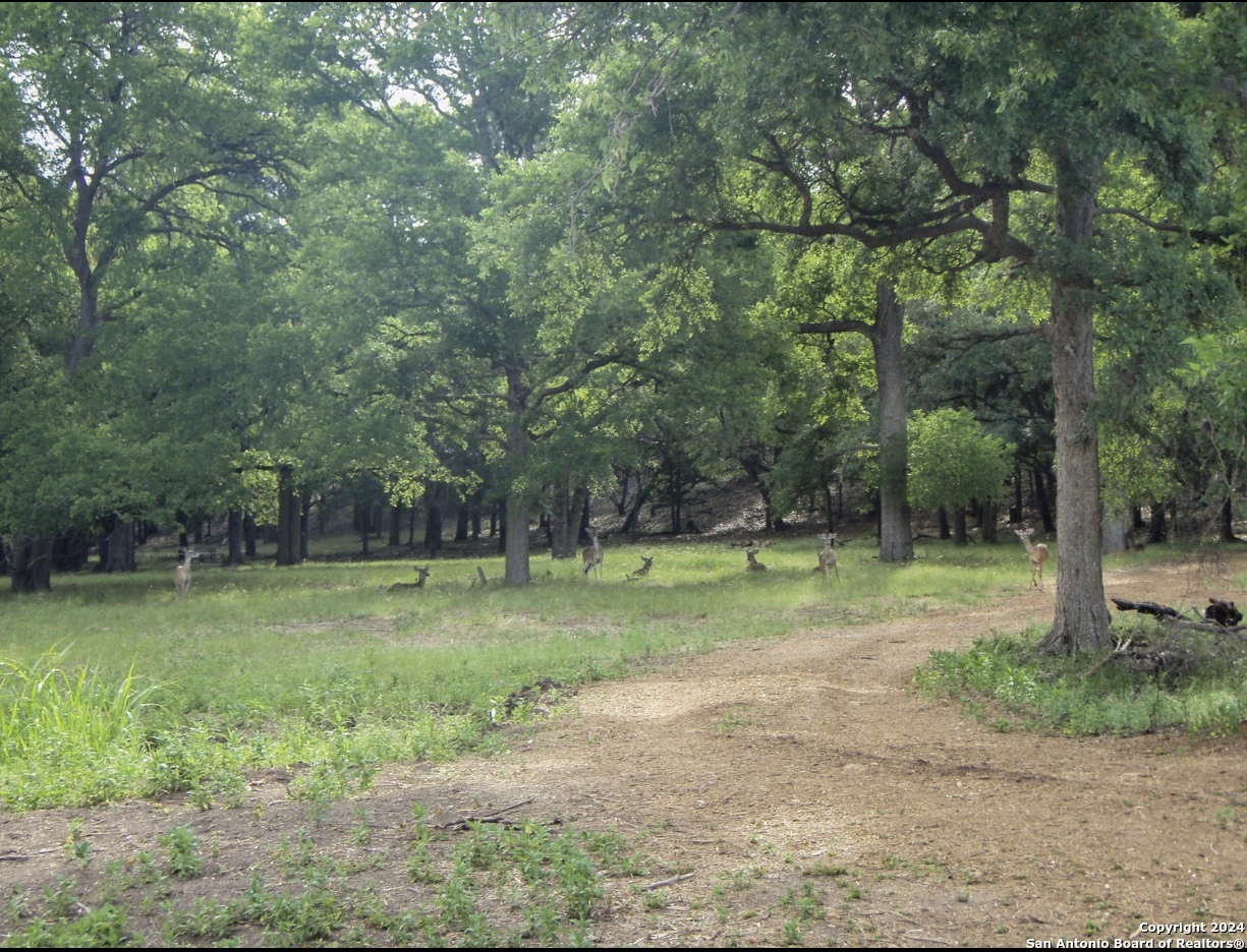 714 Caballo Trail Canyon Lake TX 78133