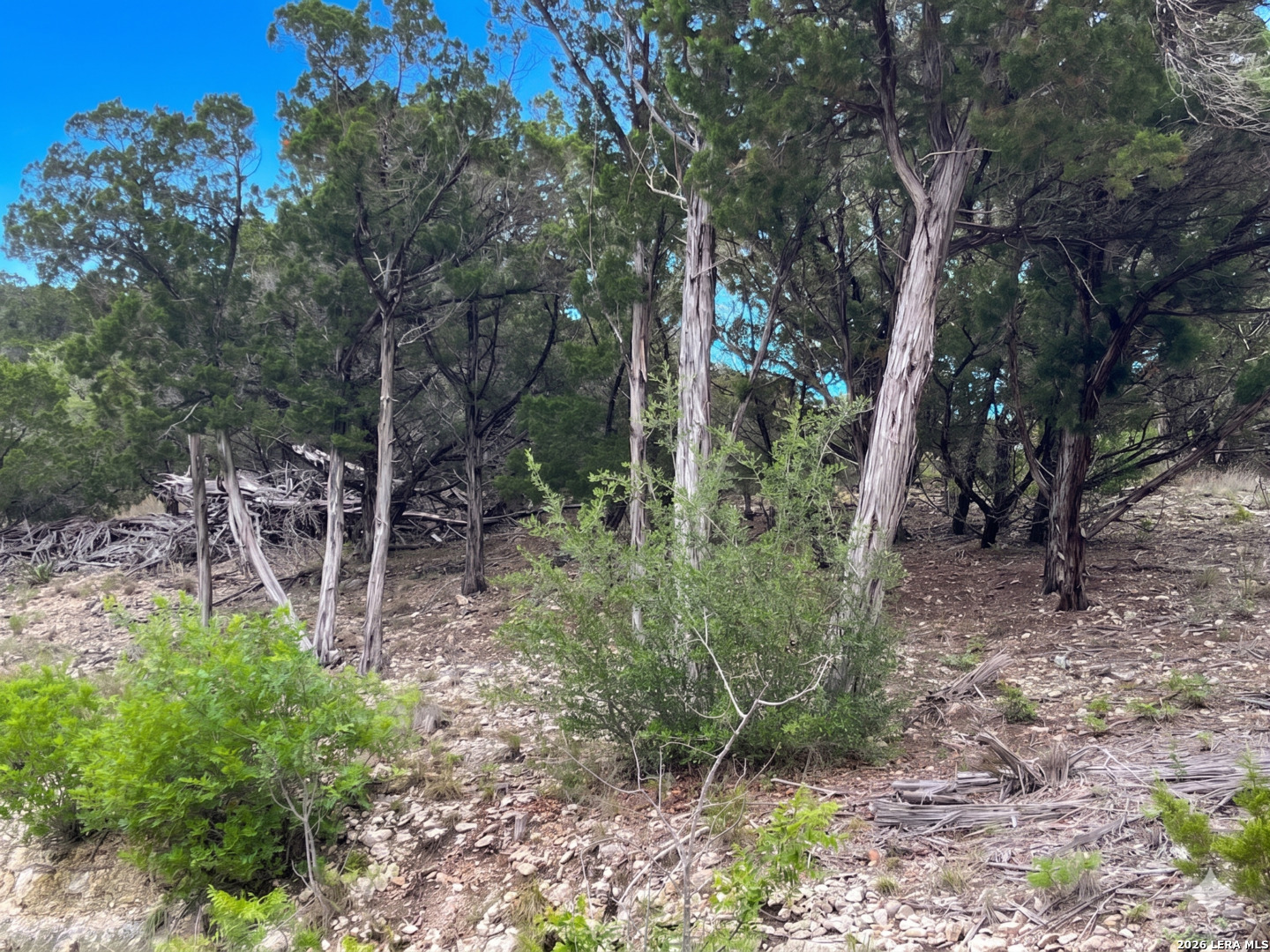 370 Private Road 1742 Mico TX 78056